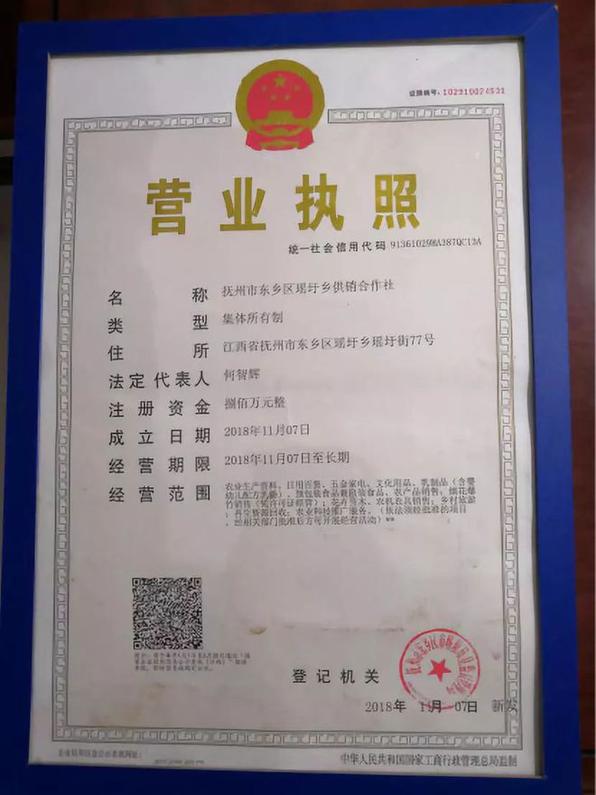 多元經(jīng)營 現(xiàn)代零售業(yè)務(wù)的擴展與整合